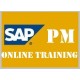 SAP PM (PLANT MAINTENANCE ) ONLINE TRAINING